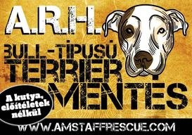 Amstaff Rescue Hungary